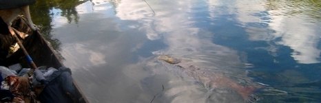 Обдыр. Фото 8095.