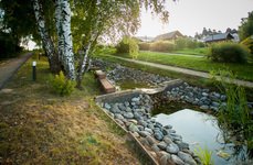 Орловский. Фото 8116.