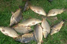 Песочня. Фото 815.