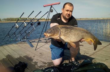 Русский карп. Фото 8167.