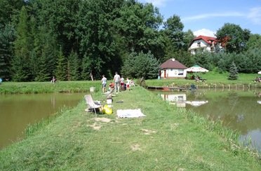 Rybka. Фото 8242.