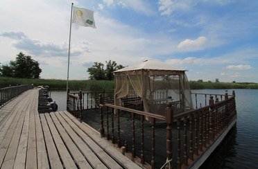 Глухомань. Фото 8246.