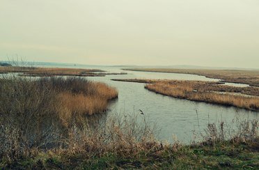 Карасинское прудовое хозяйство. Фото 8366.