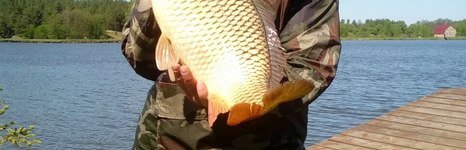 Лесное озеро. Фото 8442.