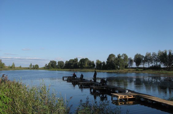 Соболевское озеро. Фото 8446.