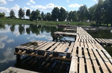 Соболевское озеро. Фото 8449.