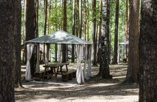 Мистер фишер. Фото 8461.