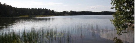 Пуллиярве. Фото 8467.