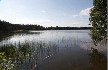 Пуллиярве. Фото 8467.