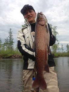 Усадьба Манома. Фото 8484.