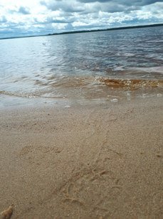 Дачный клуб «Коприно». Фото 852.