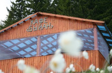 Еланка. Фото 8656.