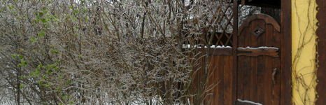 Слободка 74. Фото 8664.