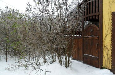 Слободка 74. Фото 8664.