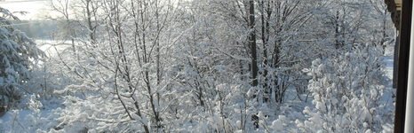 Слободка 74. Фото 8684.