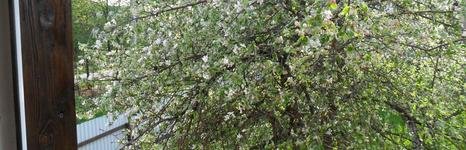 Слободка 74. Фото 8688.