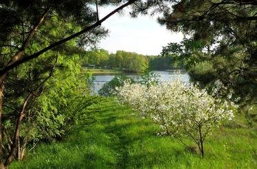 Слободка 74. Фото 8693.