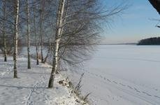 Слободка 74. Фото 8698.