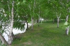 Слободка 74. Фото 8699.