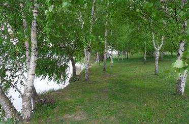 Слободка 74. Фото 8699.