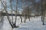 Слободка 74. Фото 8700.
