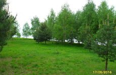 Слободка 74. Фото 8702.