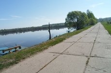 Березняки. Фото 871.