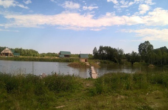Запольский пруд. Фото 8734.