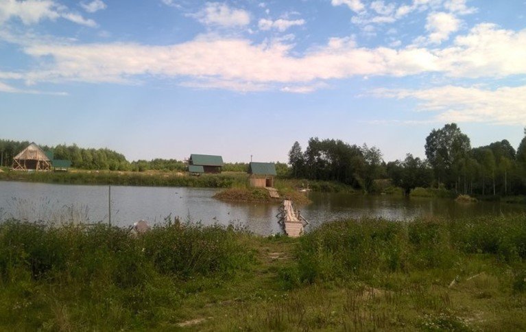 Запольский пруд. Фото 8734.