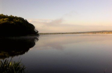 Березняки. Фото 874.