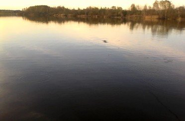 Березняки. Фото 875.