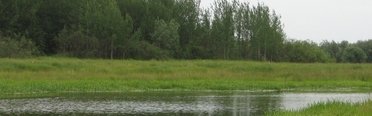 Рыбалка на Ямале. Фото 8808.