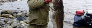 Nordseaman fishing center. Фото 8920.