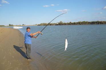 Алтын сазан. Фото 8957.