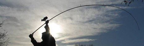 Биг фиш. Фото 8960.