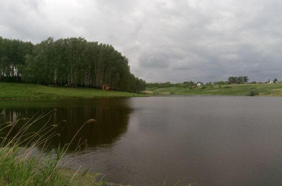 Романовский пруд. Фото 8975.