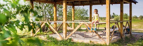Метехи. Фото 9001.