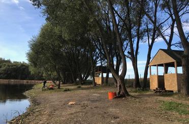 Петровское. Фото 9054.