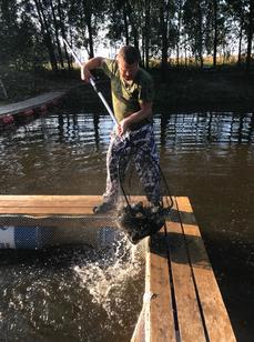 Петровское. Фото 9057.