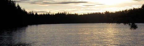 LangsJoby. Фото 909.