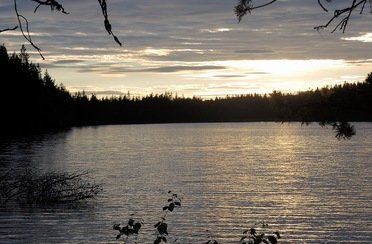 LangsJoby. Фото 909.