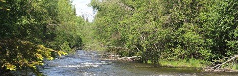 LangsJoby. Фото 911.