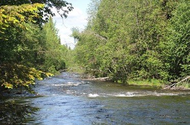 LangsJoby. Фото 911.