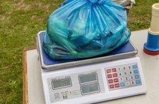 На Черкасском тракте. Фото 9114.