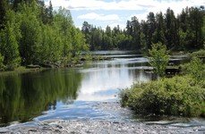 LangsJoby. Фото 912.