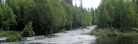 LangsJoby. Фото 913.