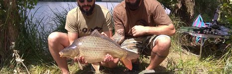 Жуки. Фото 9135.