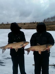 Чернавское водохранилище. Фото 9202.