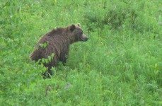 Рыбалка на реке Камчатка. Фото 9233.