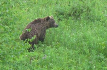 Рыбалка на реке Камчатка. Фото 9233.
